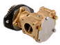 Sherwood P1730A Pump