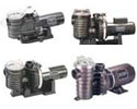 Pool Pumps
