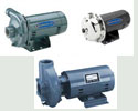 Berkeley Centrifugal Pumps