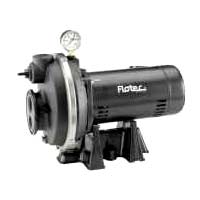 Flotec Pump FP4312