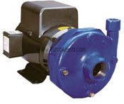 Goulds Pump 22BF1F4H0