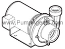 Jacuzzi Pump model # 1DB1-T - Cast Iron Centrifugal Pump