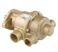 Sherwood Pump D60, 12300, 10656