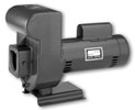 Sta Rite model # DHHG3-53