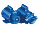 Aurora 133 Series Turbine Pumps