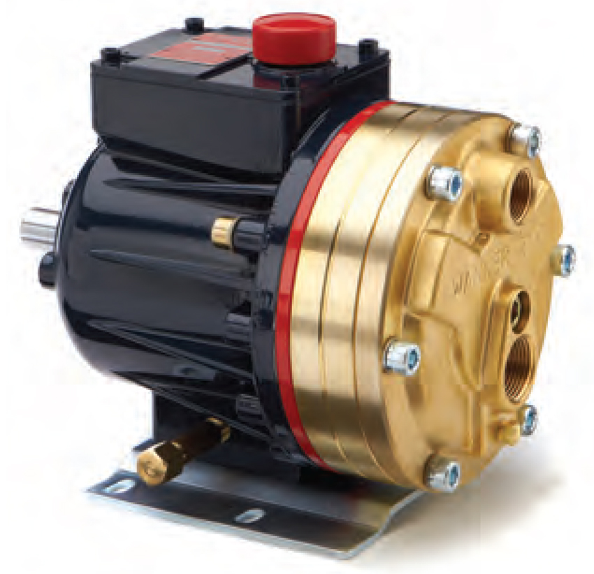 Series D10 Brass Pumps