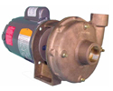 800 Series Centrifugal Pumps