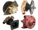 Onan Engine Cooling Pumps