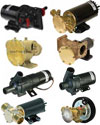 Johnson Pumps