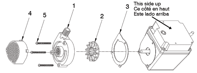 Blowup of 503003