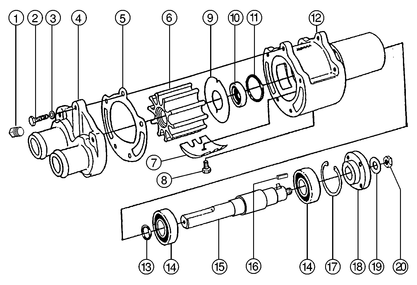 Blowup of 43210-0001