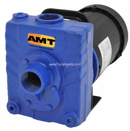 AMT Pump 276B-98