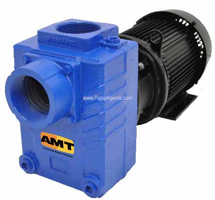 AMT Pump 2874-95