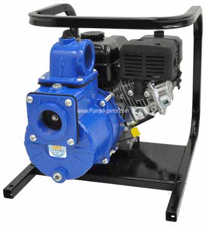 AMT Pump 2G5XZCR