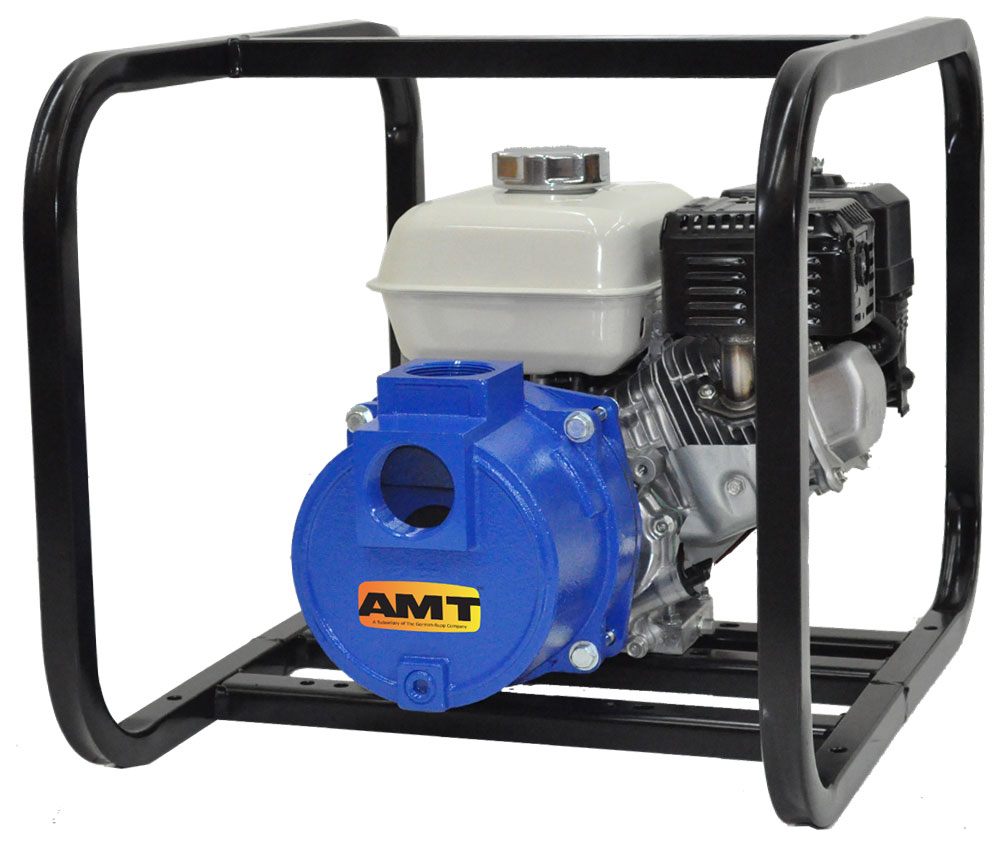 AMT Pump 316F-95