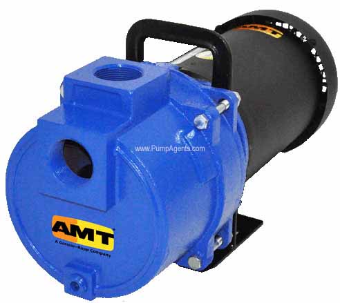 AMT Pump 3656-95