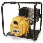 AMT Pump 3942-D6