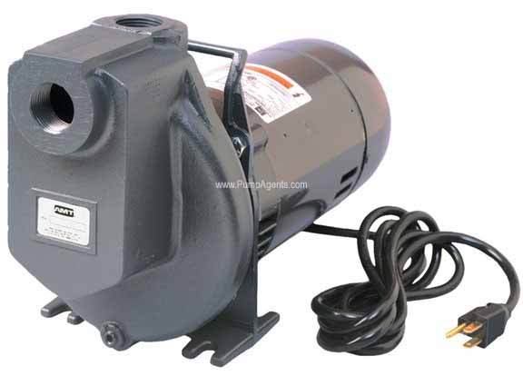 AMT Pump 