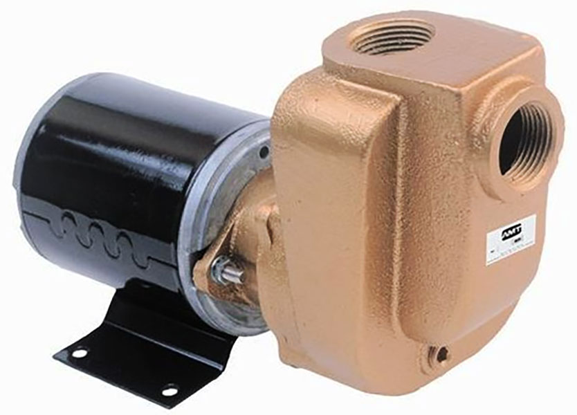 AMT Pump 4851-97
