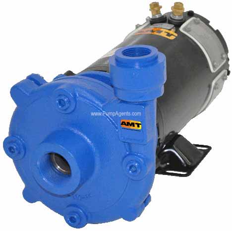 AMT Pump 489G-95