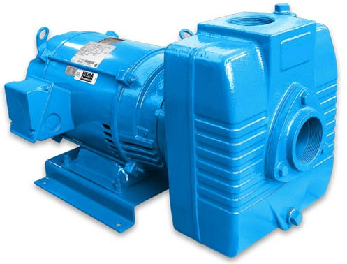 Barnes Pump 10CCE-1