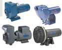 Berkeley 
Self Priming Pumps