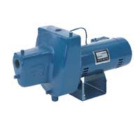 Berkeley Pump 