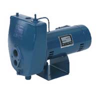 Berkeley Pump 