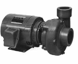 Burks Pump 104DF6-2-1/2-AB-ME