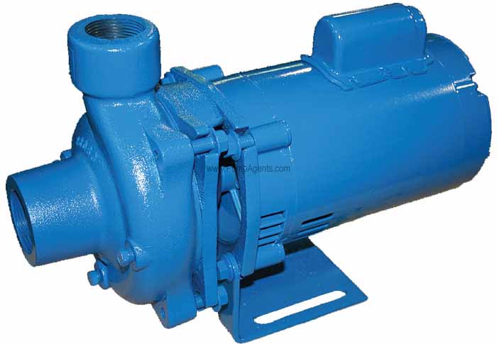 Burks Pump 10DF4-1-1/4-AB-MV