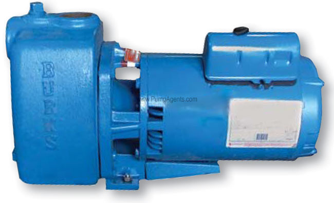 Burks Pump 10WA6-BF