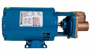 Burks Pump 33CT5M-AB-FE