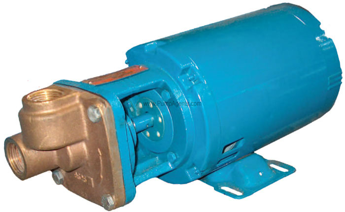 Burks Pump L7CT6M-VHT