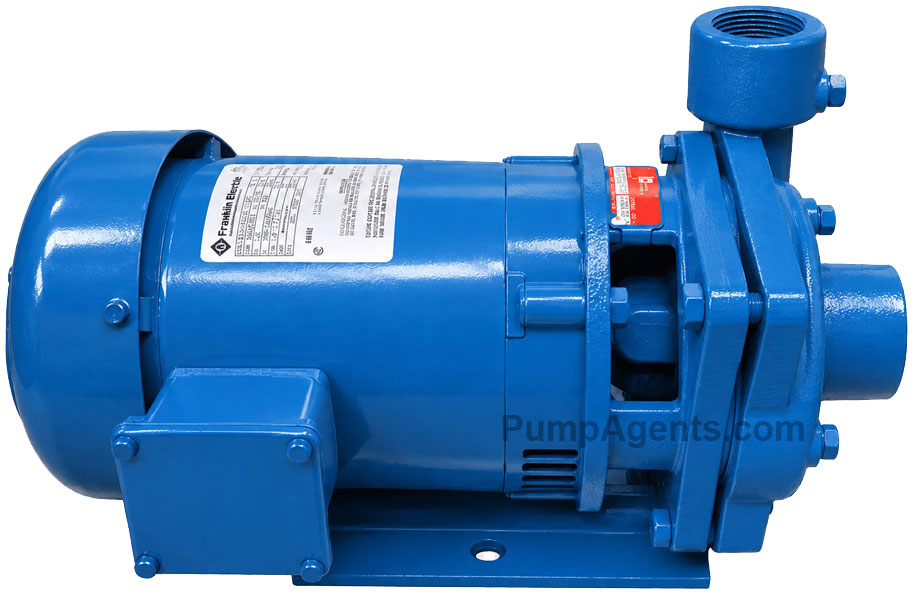 Burks Pump T310G5-1-1/4MV