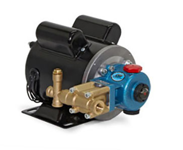 Cat Pump 1CX013R