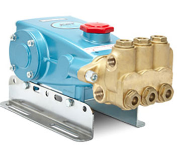 Cat Pump 30