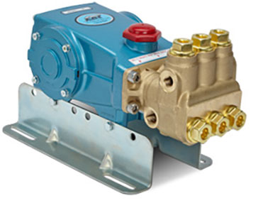 Cat Pump 60