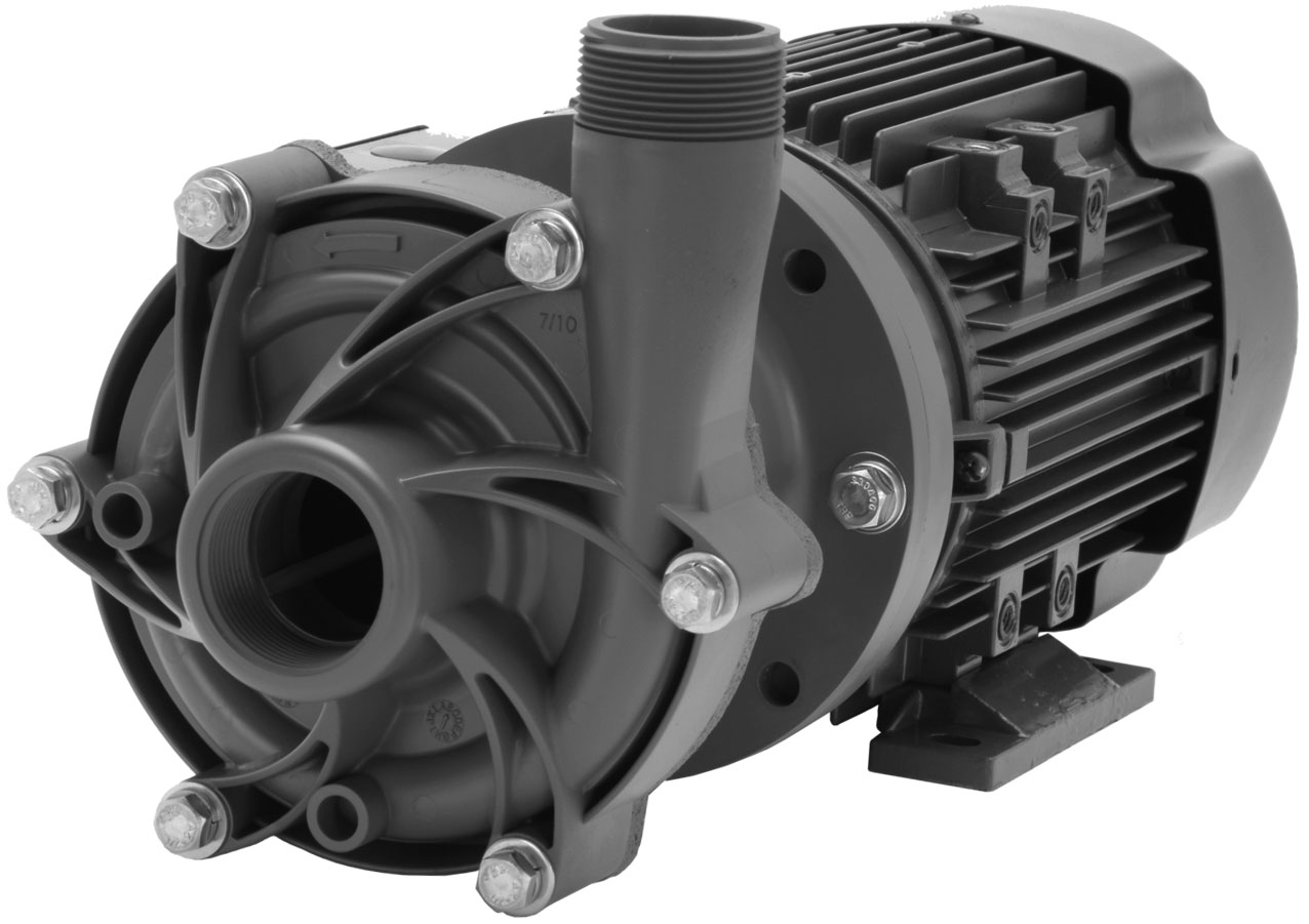 Finish Thompson Pump DB10V-T-M241