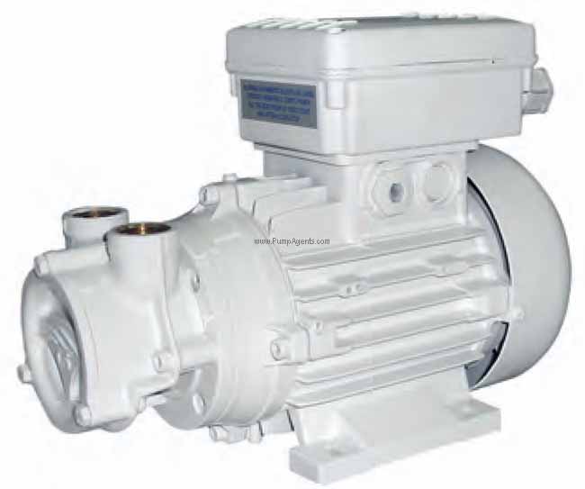 Gianneschi Pump ACB-61E-230V