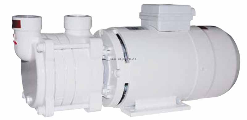 Gianneschi Pump ACB331/1B-24V