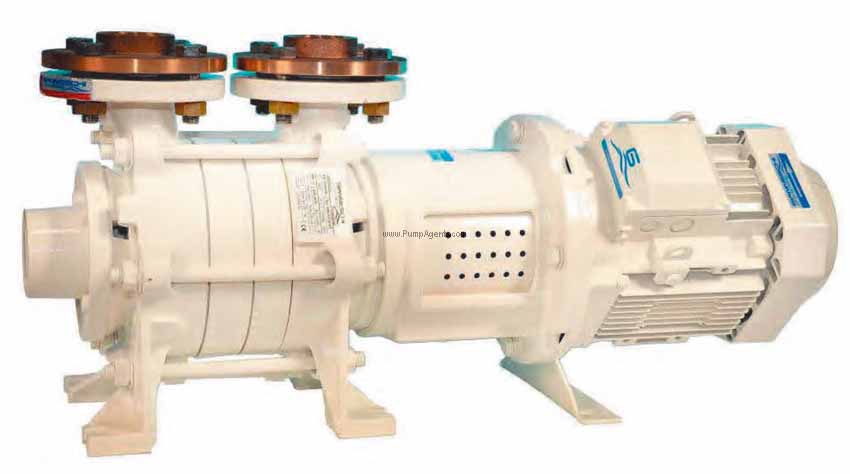 Gianneschi Pump ACM-311-230V