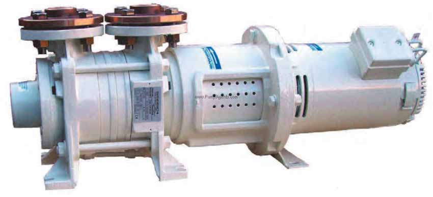 Gianneschi Pump ACM-311-24V