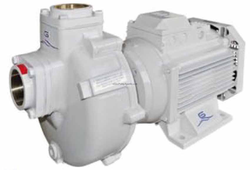 Gianneschi Pump BMA-S40/140-B1-230V-