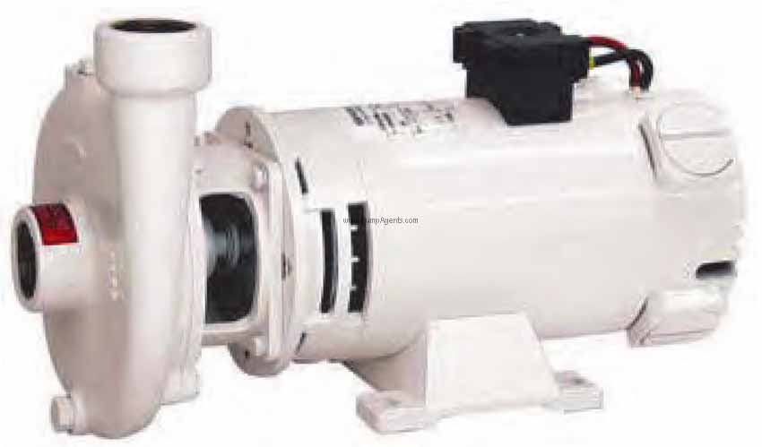 Gianneschi Pump CB-160-E-B-230V