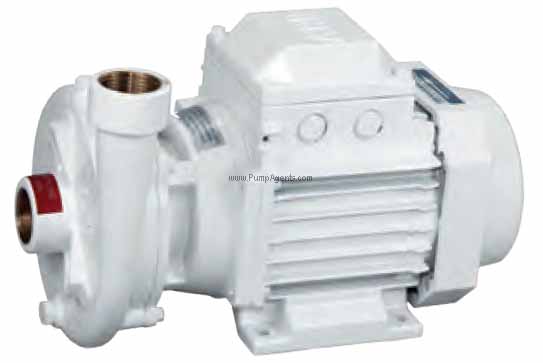 Gianneschi Pump CB-22-110-230V