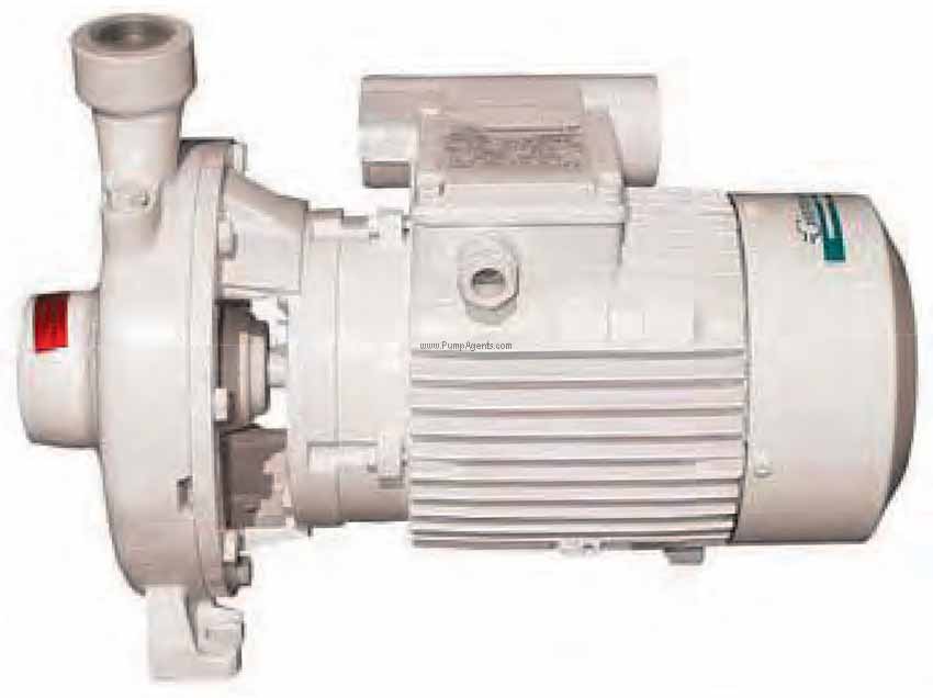 Gianneschi Pump CB-25/125A-230V
