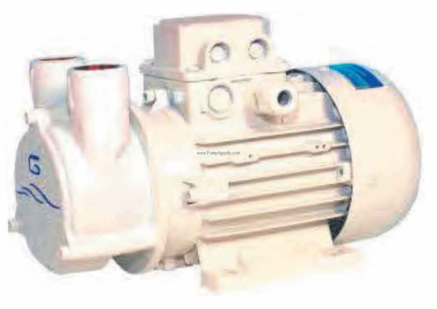 Gianneschi Pump CP-20-230V