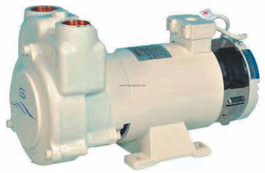 Gianneschi Pump CP-30-12V