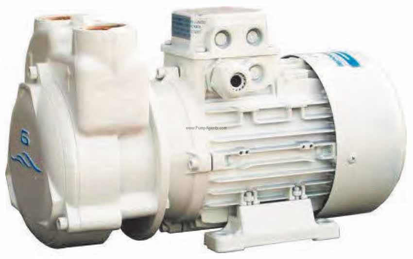 Gianneschi Pump CP-30-A1-230V