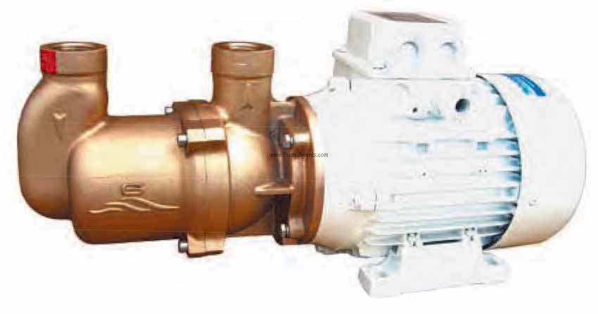 Gianneschi Pump ECO-MV-44G-230V